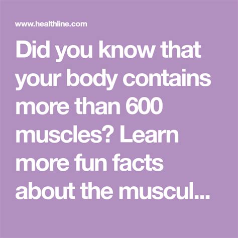 Did You Know That Your Body Contains More Than 600 Muscles Learn More