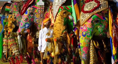 Mahout And His Painted Elephants Jaipur India Art Wolfe