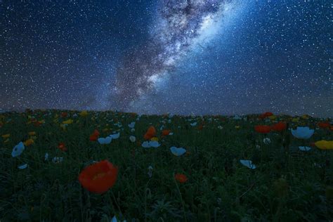 Flowery Hill In New Zealand Under The Milky Way 1500x1000 By Ateens