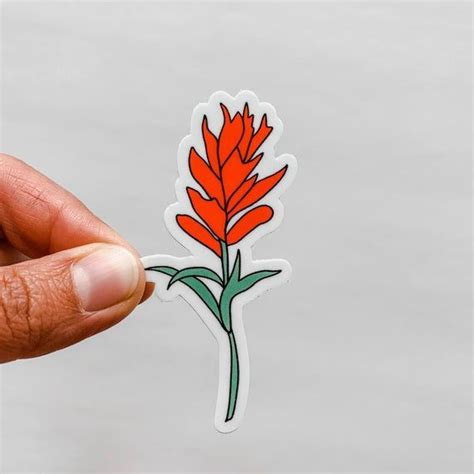 Indian Paintbrush Sticker Decal Vinyl Rv Decal Car Decal Etsy In 2020