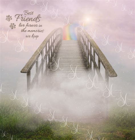 Rainbow Bridge To Heaven Background With Cloud And Quote Etsy