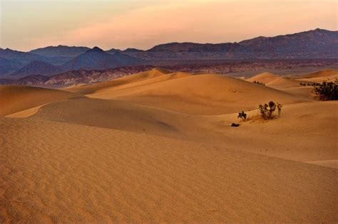 Desert Biome And Major Types Of Deserts On Earth Conserve Energy Future