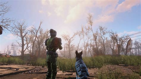 Sole Survivor And Dogmeat Rfo4