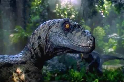 Things ‘jurassic Park Got Wrong About Dinosaurs Las Vegas Review Journal