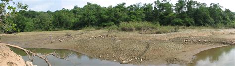 Biodiversity In Belize Five Blues Lake National Park