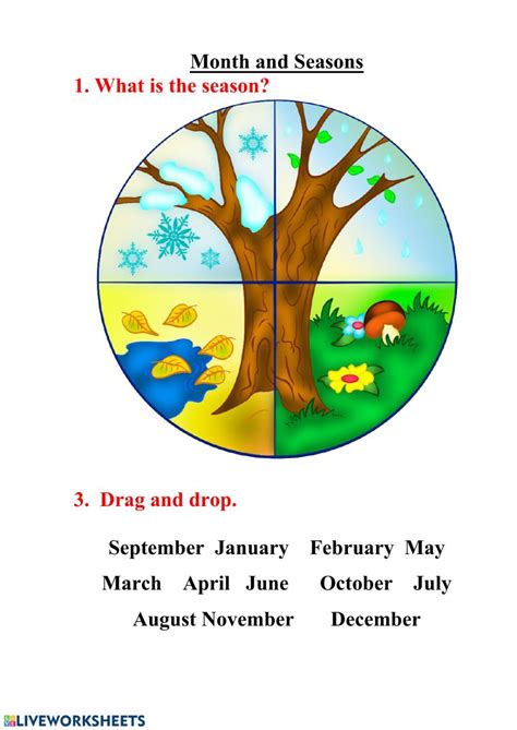 Seasons And Month Worksheet Fichas Material Escolar En Ingles