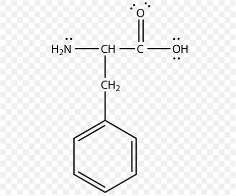Lewis Structure Alanine Asparagine Amino Acid Png 533x683px