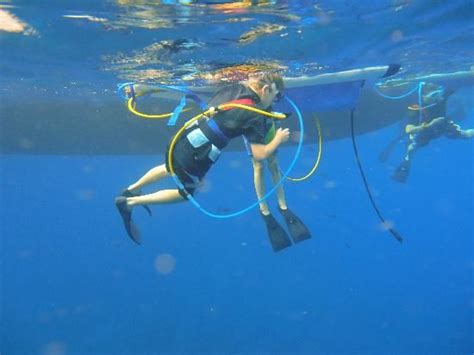 Four Winds Ii Snorkel At Molokini Trip Advisor Molokini Snorkeling