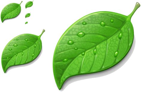 Maybe you would like to learn more about one of these? daun png 20 free Cliparts | Download images on Clipground 2020
