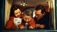 ‎Stuart Little (1999) directed by Rob Minkoff • Reviews, film + cast ...