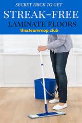 Best Steam Mop For Bamboo Floors Photos