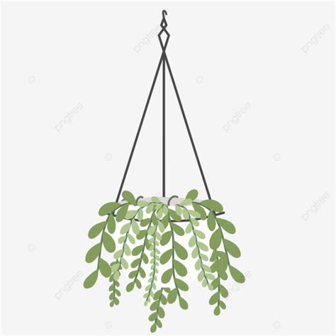 Cute Hanging Plant Vector Illustration Cute Hanging Plant Vector Flat