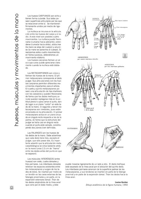 Huesos Músculos Y Movimientos De La Mano Comunicación Visual