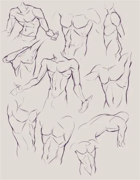 Anime Abs Drawing Reference Artful Anatomy Art Reference Point