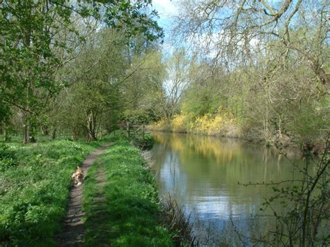 River Stort from Harlow Town to Roydon