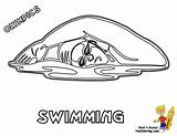 Coloring Olympic Swimming Sheets Summer Swimmer Sports Olympics Usa Team Colouring Aquatics Templates Popular Yescoloring Coloringhome Template sketch template