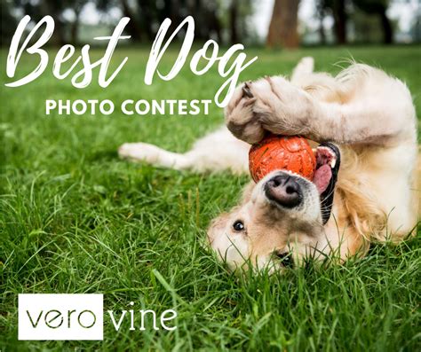 Love You Yoo💕🐾🐾💕 Veros Best Dog Photo Contest 2020