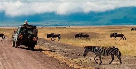 Visit Ngorongoro Crater Tanzania Wildlife Safaris Tanzania Tours