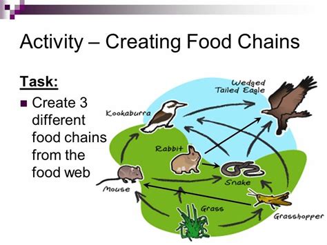 An Animal Food Chain With Animals And Birds In The Center Labeled As