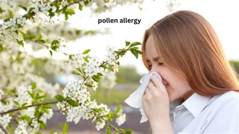 What Are The Symptoms Of A Pollen Allergy Easypng2