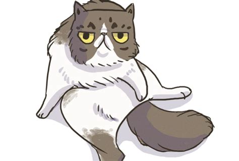 Draw Your Super Cool Cat Fiverr