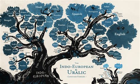 Jezici I Jezičko Porodično Stablo Moja Jezička Mreža