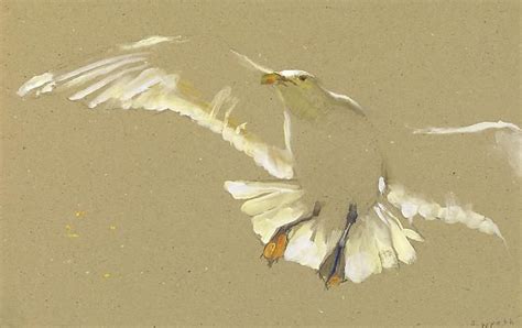 Jamie Wyeth B 1946 Gull Ascending 2006 Watercolor And Gouache On