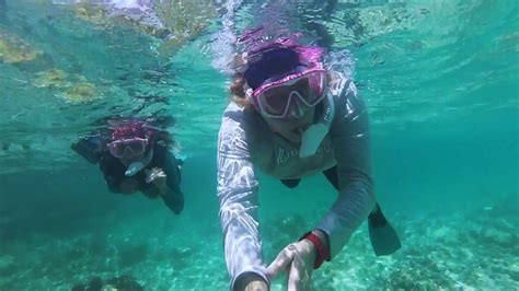 Best Riviera Maya Snorkeling Location Youtube