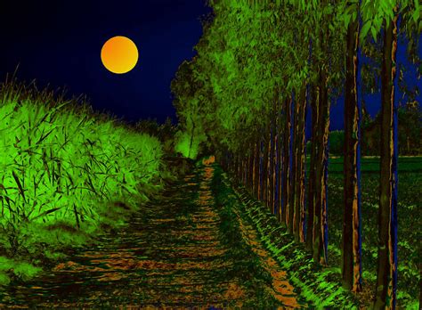 Moon Path Digital Art By Bliss Of Art Fine Art America