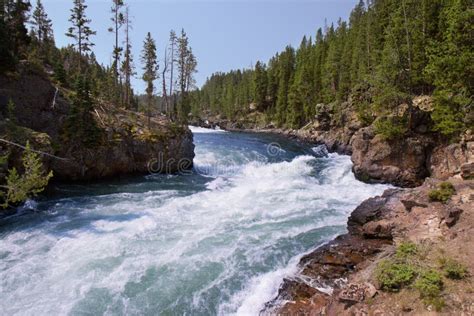 Rushing River In Yellowstone National Park Stock Image Image Of