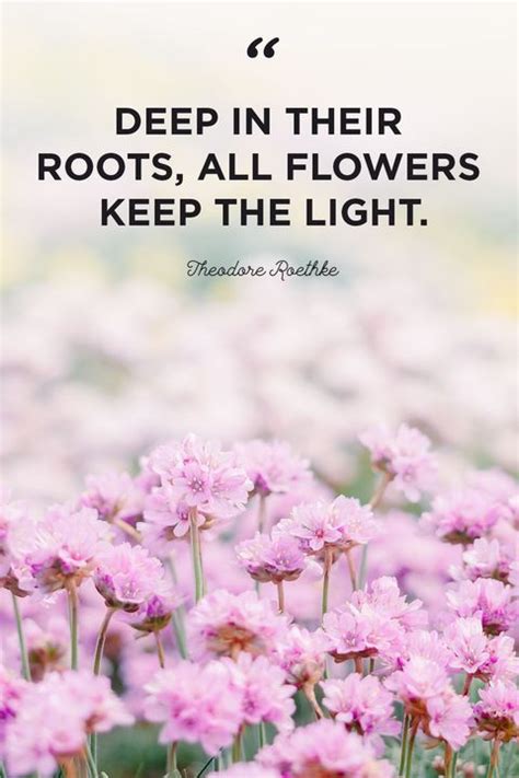 50 Best Flower Quotes To Inspire Growth Flower Quotes