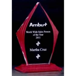 Airflyte Acrylic Honor Awards Engraved, Customized With Your Logo!