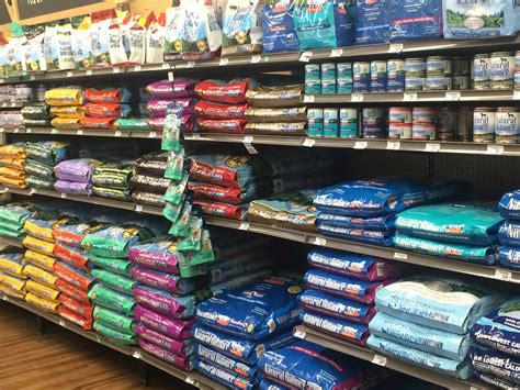 Premium Pet Food Is Really Expensive—and Not Actually Better For Your