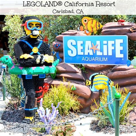 Legoland® California Resort Sea Life™ Aquarium Brie Brie Blooms