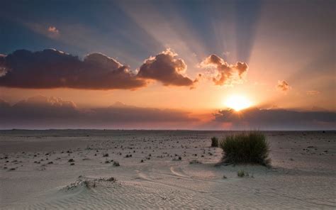 Wallpaper Sunlight Trees Sunset Sea Shore Sand Grass Sky