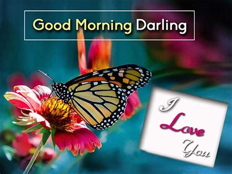 Good morning wishes for husband get up your spouse up romantically from the early morning therefore he could start his day together with lots of excitement and nature. Good Morning Messages For Wife - Romantic Morning Wishes