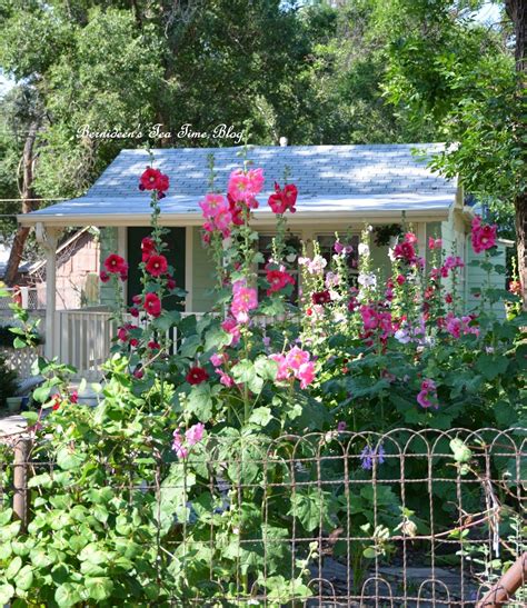 Bernideens Tea Time Cottage And Garden Its A Hollyhock Year In Old