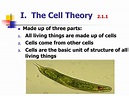 PPT - Cells PowerPoint Presentation - ID:3507367