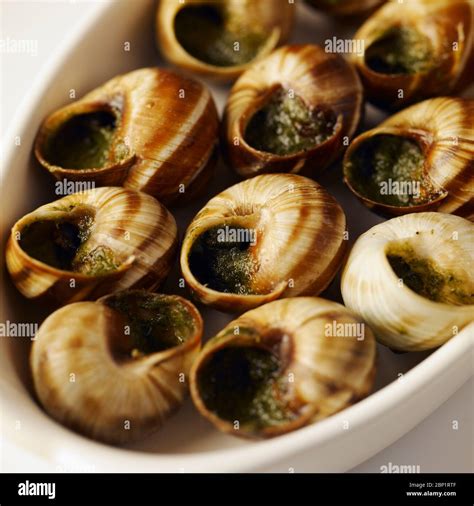 French Snails