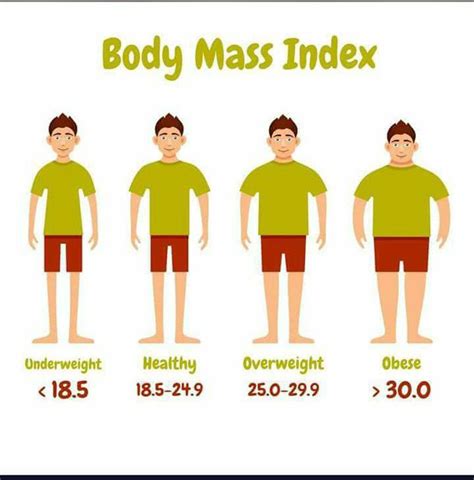 Body Mass Index Medizzy