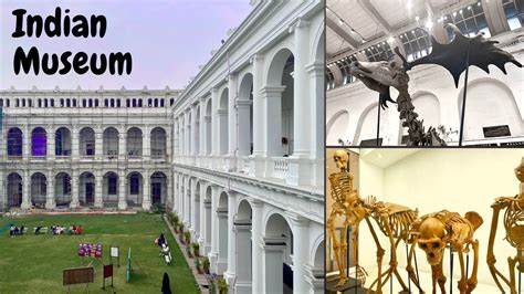 Indian Museum Kolkata Indian Museum Kolkata Tour Indias Largest