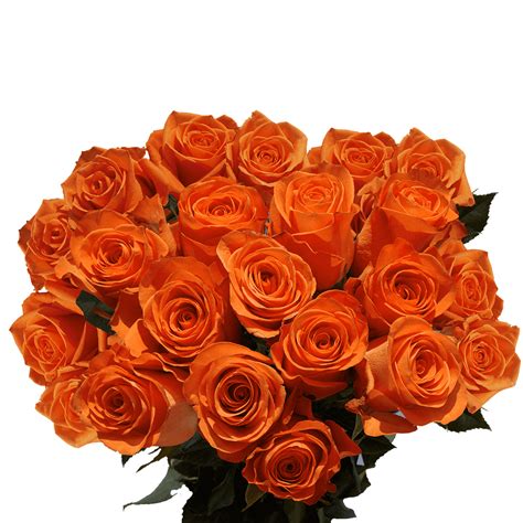 Two Dozen Orange Roses Beautiful Fresh Cut Flowers Express Delivery