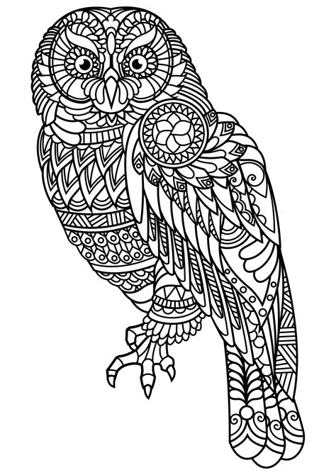 Horse coloring pages, dog, cat, owl, wolf coloring pages and more! Free book owl - Owls Adult Coloring Pages