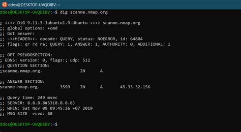 Using The Dig Command To Query Dns Records In Linux