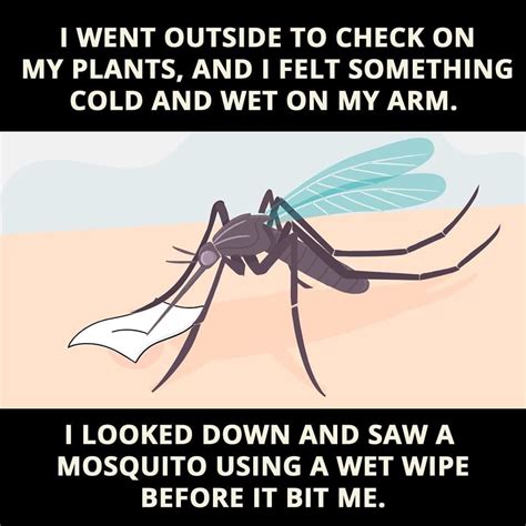 Texas Mosquito Meme Fwtai