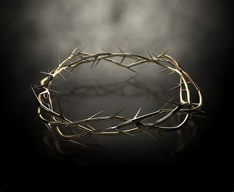 Crown Of Thorns Gold Casting Digital Art By Allan Swart