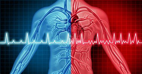 Aprenda A Reconocer Una Arritmia Cardíaca Síntomas Característicos