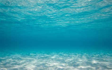 Underwater Hd Wallpaper Background Image 1920x1200