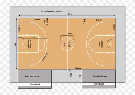 Basketball Court Layout Player Hd Png Download