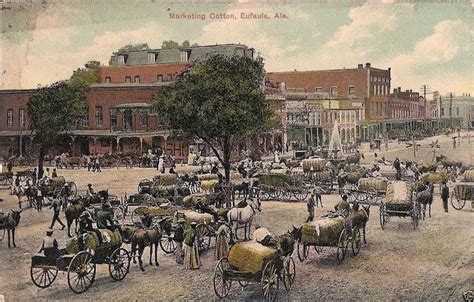 Eufaula 1910 Cotton Selling Day Eufaula Song Of The South Sweet